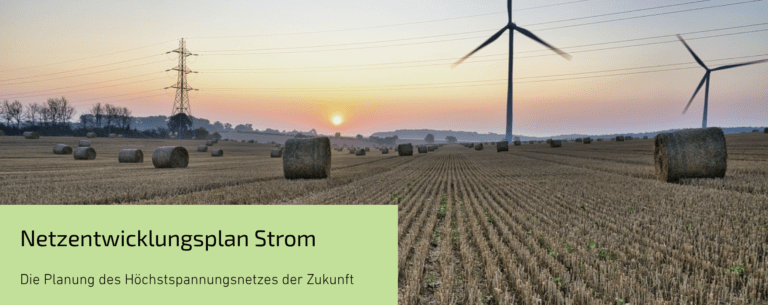 Grüne auf Langeoog 🌻- Stellungnahme zum ersten Entwurf des Netzentwicklungsplans (NEP) 2037/2045