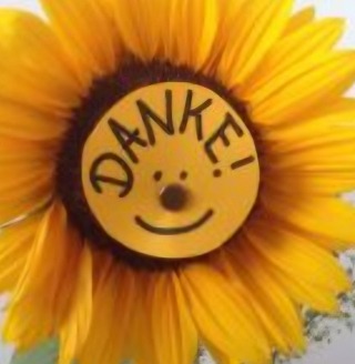 DANKE – Grüne auf Langeoog 🌻